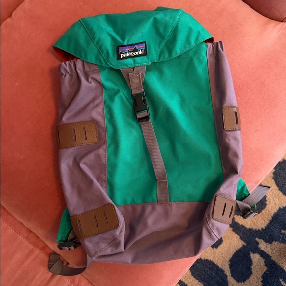 Patagonia Other - Patagonia kids Green and Purple Backpack
